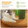 PAWZ Road Cat Scratching Post Cactus Cat Scratcher Featuring with