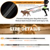 bvya 5.2-6 Ft Reflective Strong Bungee Dog Leash Retractable Shock
