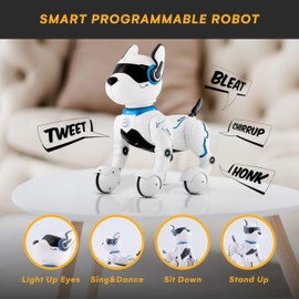 Top Race Rechargeable Robot Dog- Interactive Smart Robo Dog for Kids Ages 5-7 - Programmable with Remote Control, Voice and Touch Features - Realistic Actions and Perform Tricks - 4x5x6 Inches (White)