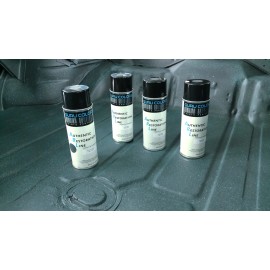 Thornton Trunk Spatter Paint Kit - Trunk White only