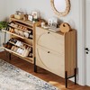 IRONCK Shoe Cabinet Storage with 2 Flip Drawers, Free Standing