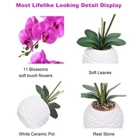 YSZL Artificial Potted Orchid Faux Phalaenopsis Silk Flowers Bonsai Realistic Arrangement in Ceramic Vase for Home Decoration Table Centerpiece, Fuchsia