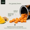 Turmeric with Ginger and Black Pepper + Probiotics - 2500