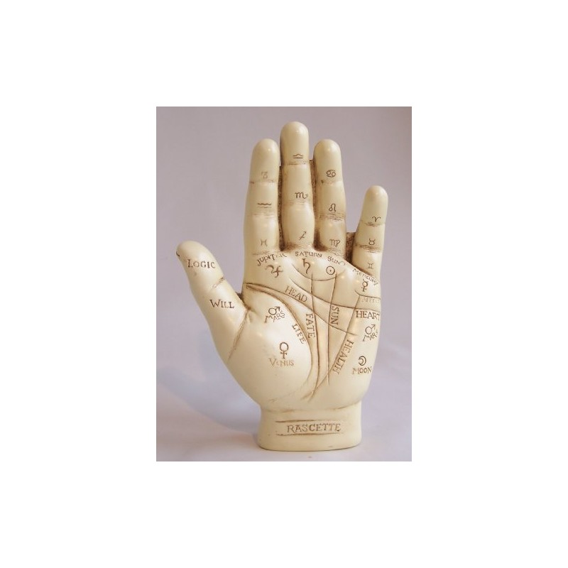 LARGE Palmistry Hand Ornament & Palm Reading Instructional Booklet