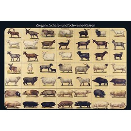 Schatzmix Tin-Plate Sign, Sheet metal, Multicoloured, 20x30 cm