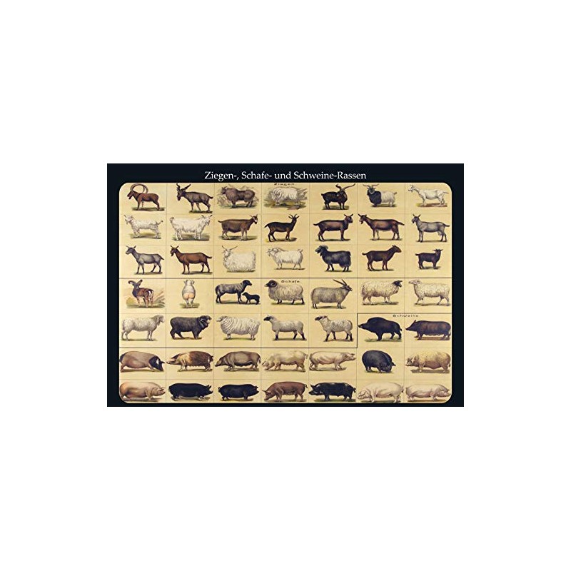 Schatzmix Tin-Plate Sign, Sheet metal, Multicoloured, 20x30 cm