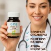 Diente León Polvo Cápsulas Suplemento Alimenticio Sabor