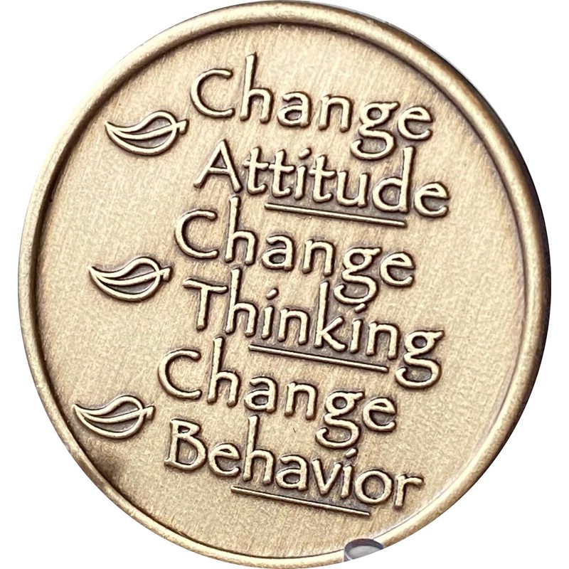 Drug Court Medallion Where Treatment Justice Meet Change Coin