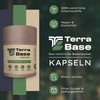 TERRABASE - Base Powder Capsules / 50 Applications / 100%
