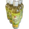 Icy Cool Lemon Green Tea 600ml (6 Bottles)