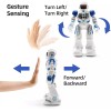Ruko Toy Robots for Kids, Programmable Remote Control Robot Toy