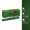 Hem Eucalyptus for Cleansing & Relaxing Incense Sticks - Pack