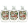 Hand Wash, Pack of 3 | Himalayan Pink Salt, Sandalwood & Jasmine | Cleans, Protects & Moisturizes | Gentle Hand Soap for Daily Use & All Skin Types