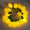 9.8ft 20LEDs Fruit String Lights Battery Operated String Lights for