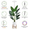 LBW Plant Grow Light, 72 LEDs Full Spectrum Grow Lights