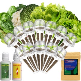 Lyko Heirloom Salad Greens Seed Pod Kit for AeroGarden, iDoo, Ahopegarden, GARDENCUBE, 12 Pods with American Fast/Paris Island/Buttercrunch Lettuce, Spinach, Swiss Chard, Cauliflower, Wild Cabbage