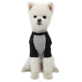 Lucky Petter Dog Cotton Shirts for Small and Large Dogs Raglan T-shirts soft breathable Dog Shirt pet clothes (Small, Gray/Black)