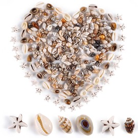 PPCLION 300pcs Shell Beads Starfish Bracelet Making Kit Bracelet and Heart Beads Elastic Threads for Jewelry Necklace Making