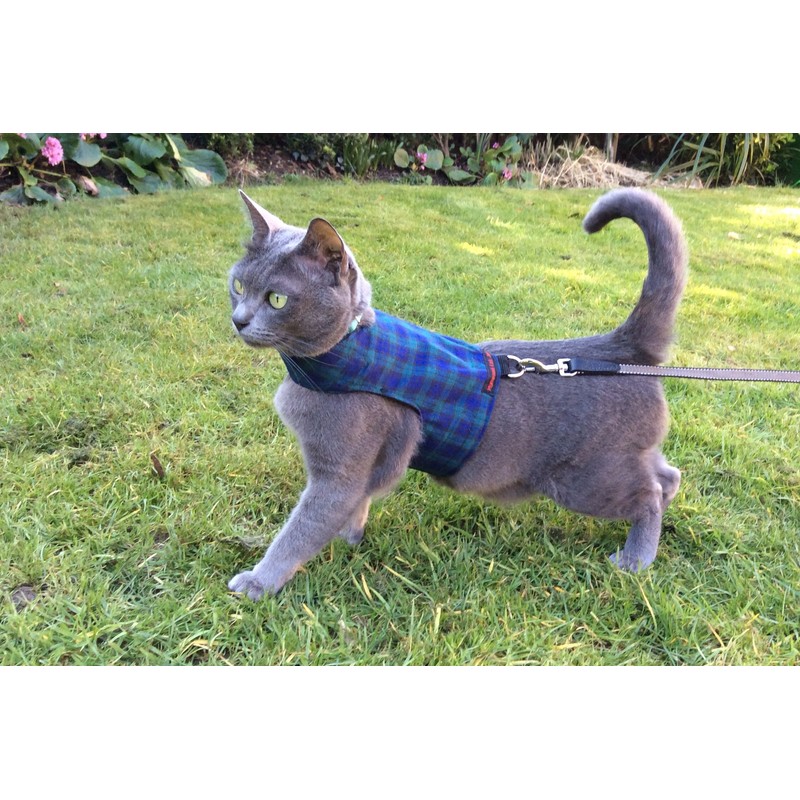 Mynwood Cat Jacket/Harness Black Watch Tartan Kitten up to 8month