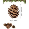 Pack of 200 Christmas Pine Cones, Mini Pine Cones for