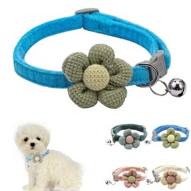 Blue Cat Collar with Bell and Floral, XS Dog Collars with Flower Girl Cute Adjustable for XXS XSmall Extra Small Female Dogs Puppy Little Kitten Yorkie Chihuahua X-Small