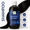 Shampoo Capilar De Alquitrán De Hulla Brillo-controla 500ml