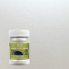 6 oz Modern Masters ME196 Pearl White Metallic Paint Collection,
