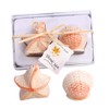 Seashell and Starfish Salt & Pepper Shaker Ceramic Party Favours