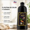 Shampoo Tinte Instantáneo Castaño Cubre Canas 100ml
