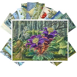 PIXILUV Vintage Postcards (24 pcs 4"x6" each) Cool Strange Landscapes of Animals and Plants Vintage Postcards Retro Greeting Card Book Illustration Reprint