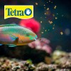 Tetra Tetramin Tropical Flakes Pack De 2 Botes De 200