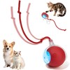 Petayouj Interactive Cat Toys Ball - 2025 New Gen with