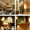G8 Halogen Light Bulbs 35W 120V G8 Base 2Pin Dimmable