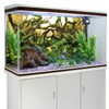 AWERT 48x24 inches Aquarium Background Branches Aquarium Background Aquatic Plant
