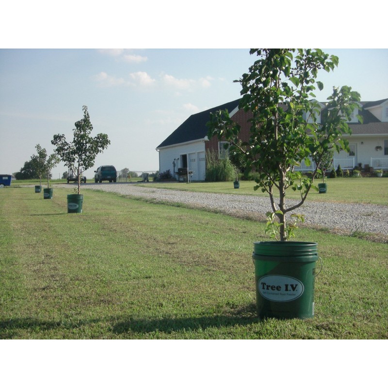 Tree I.V. DIY Root Seeker 10-pk w/Plugs & Drill |