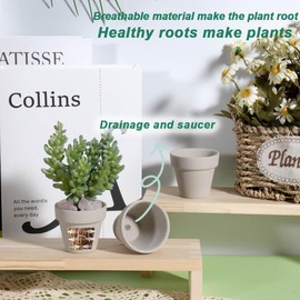 vensovo 48 Pcs 2" Tiny Terracotta & Terra Cotta Pots with Drainage - Grey Small Mini Clay Ceramic Pottery Planter Ideal for Indoor/Outdoor Plants, Crafts, Wedding Favors