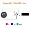 Disino 1/4 Inch TRS to XLR Male Balanced Signal Interconnect