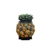 KING Mascot Hot Shoe Cover MHSC-PINE Pineapple 827340