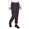 Eddie Bauer Women's Polar Fleece-Lined Pull-On Pants, Deep Eggplant, 6