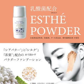 Black Paint Mineral Funde Esthetic Powder Matte 0.5 oz (15 g)