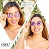 OWL Round Retro Vintage Circle Style Sunglasses Red Lens Metal