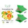 VivaTrap VT-102 Citrus Leafminer Trap & Lure (2 Pack, 8