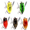 Cicada Fishing Lure, Lifelike 3D Holographic Eyes Freshwater Bait,5Pcs Artificial