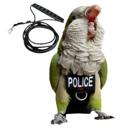 Bird Diaper Harness Flight Suit Clothes, Parrot Flight Suit with Leash for Parrot, Bird Flying Clothes with Rope and Handle for Outdoor Activities Training (with Leash - X-Small)