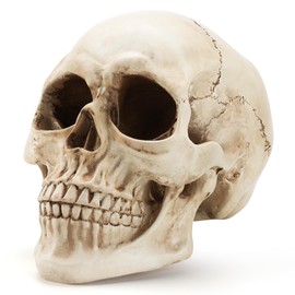 SHUS LIVE Skull Decor, Premium Resin Realistic Skeleton Head Statue for Halloween, Fake Human Bone Skull Model for Halloween Decoration, Home Bookshelf, Table, Party Display