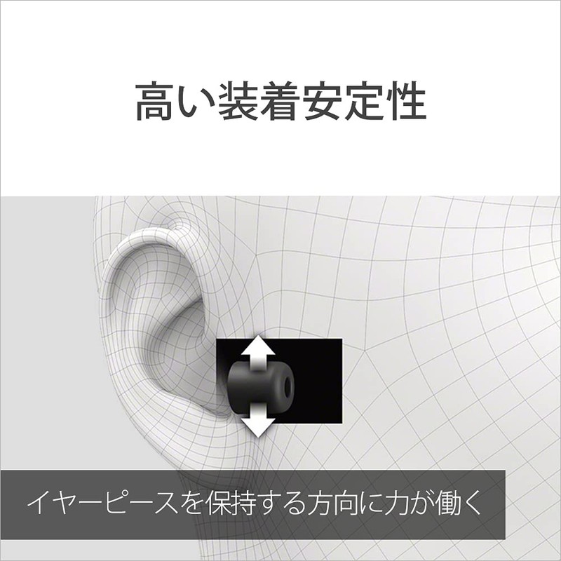 Sony EP-NI1000 Noise Isolation Earpiece : Small EP-NI1000S