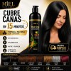 Miel® Shampoo Con Tinte Cubre Canas Natural Jengibre 500ml