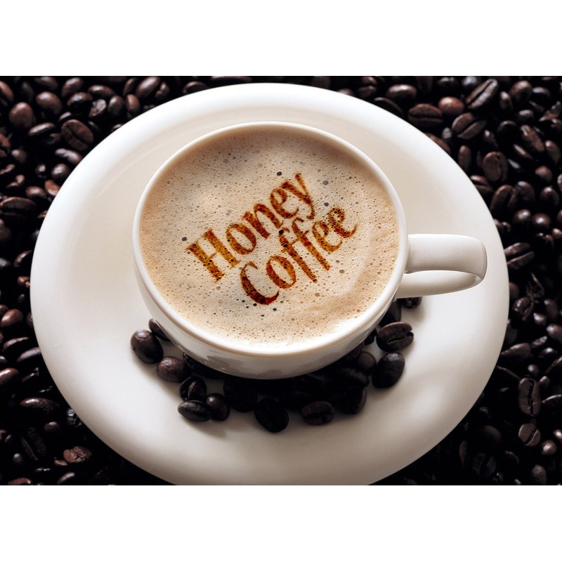 Carnes Mild Mocha with honey powder (Instant Coffee Mix) -