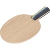 The World Connect (TWC) BV004CH Table Tennis Racket Defense Pen