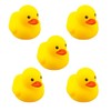 Set of 5 Small Ducks: Sounds, floats, and fun in